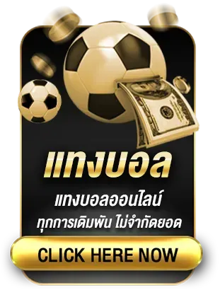 แทงบอล by youwantbet